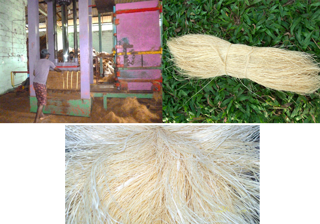 Coir Fibre-Bristle Fibre-process